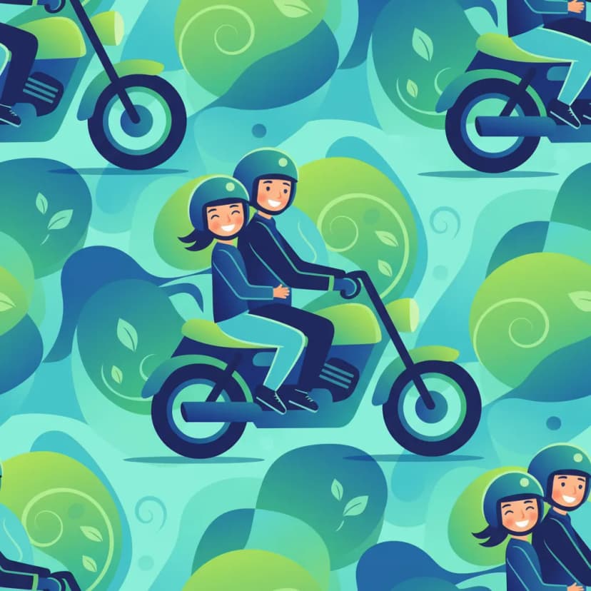 Afbeelding van de les Veilig Rijden met een Passagier (Pillion)